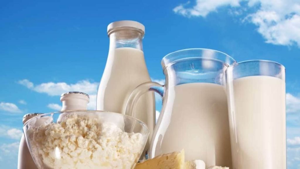 Microbial Presence in Milk and Other Dairy Products