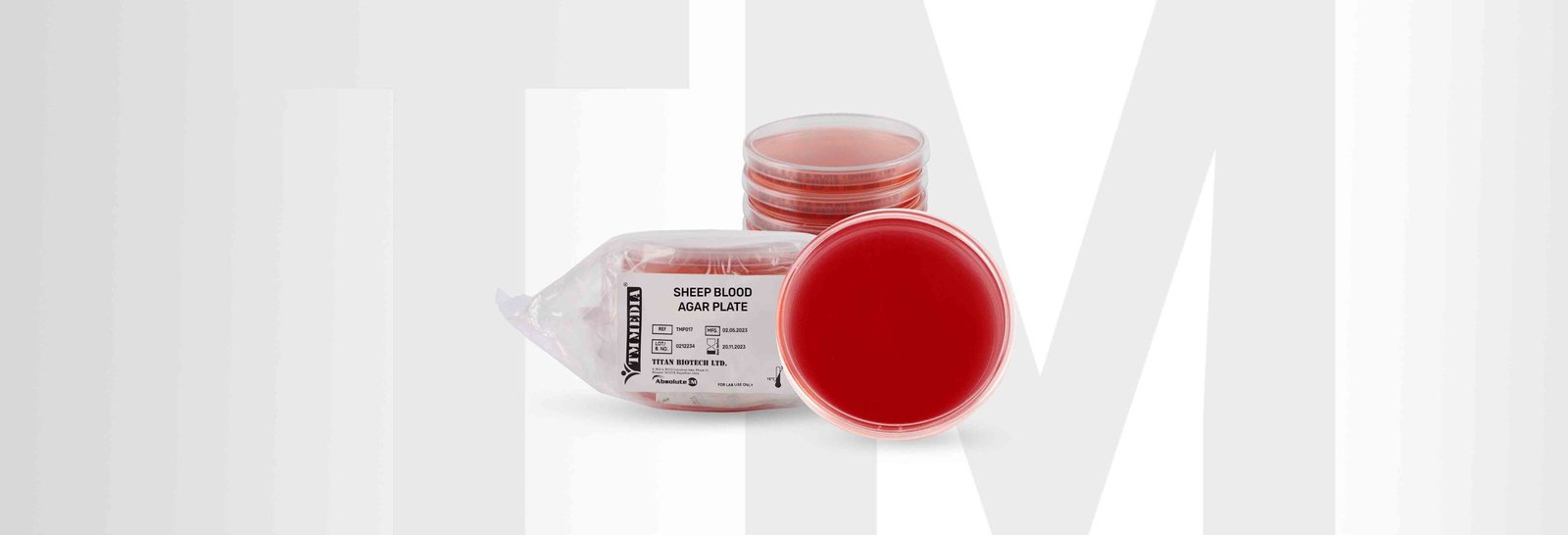 Sheep Blood Agar (TMP 017)