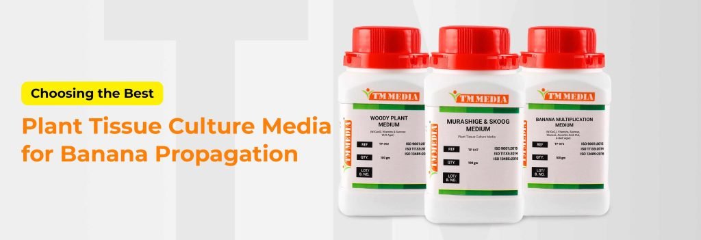 Plant Tissue Culture Media