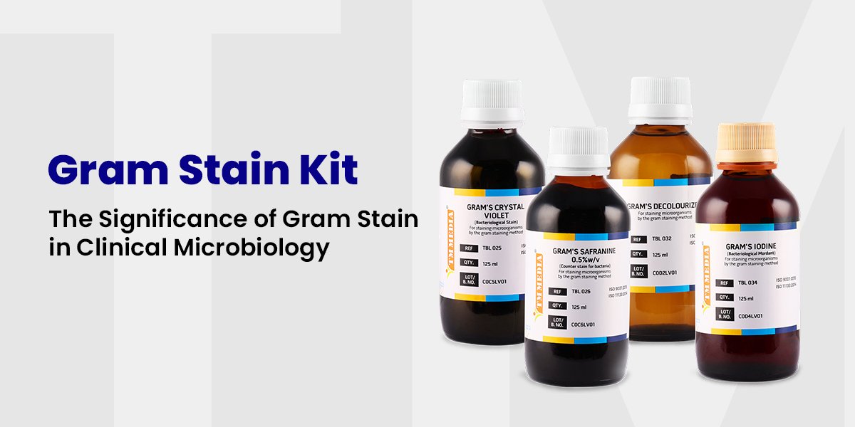 Gram Stain Kit