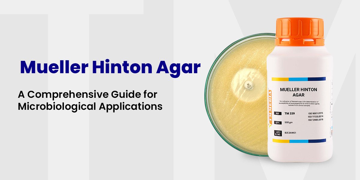 Mueller Hinton Agar: A Comprehensive Guide for Microbiological Applications