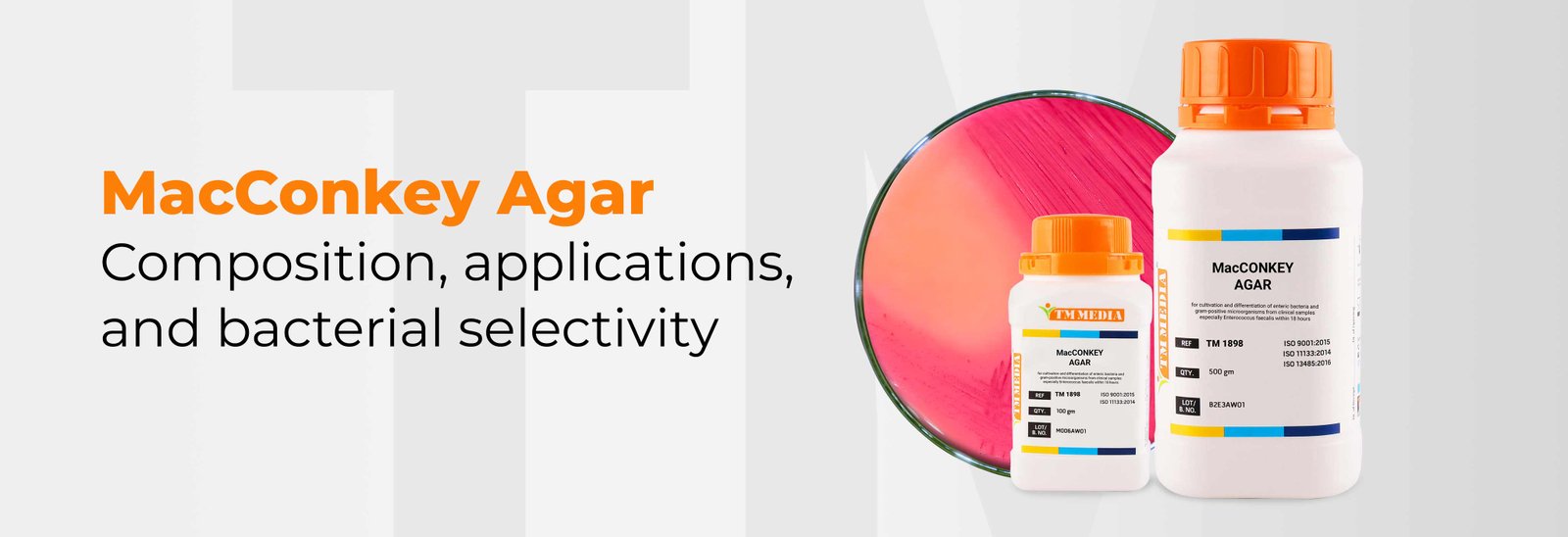 MacConkey Agar's Composition, Applications, and Bacterial Selectivity