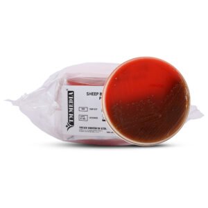 RTU Agar Plate (100mm)