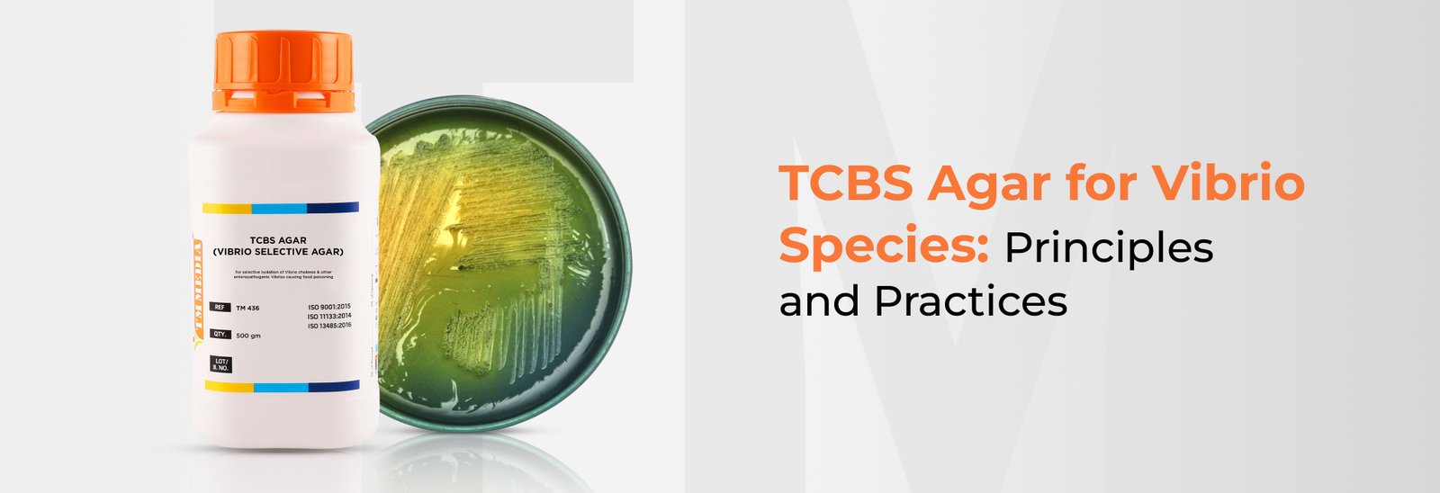 tcbs agar