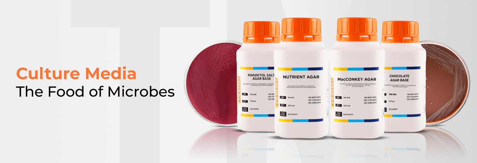 Culture Media: The Essential Nutritional Food of Microbes