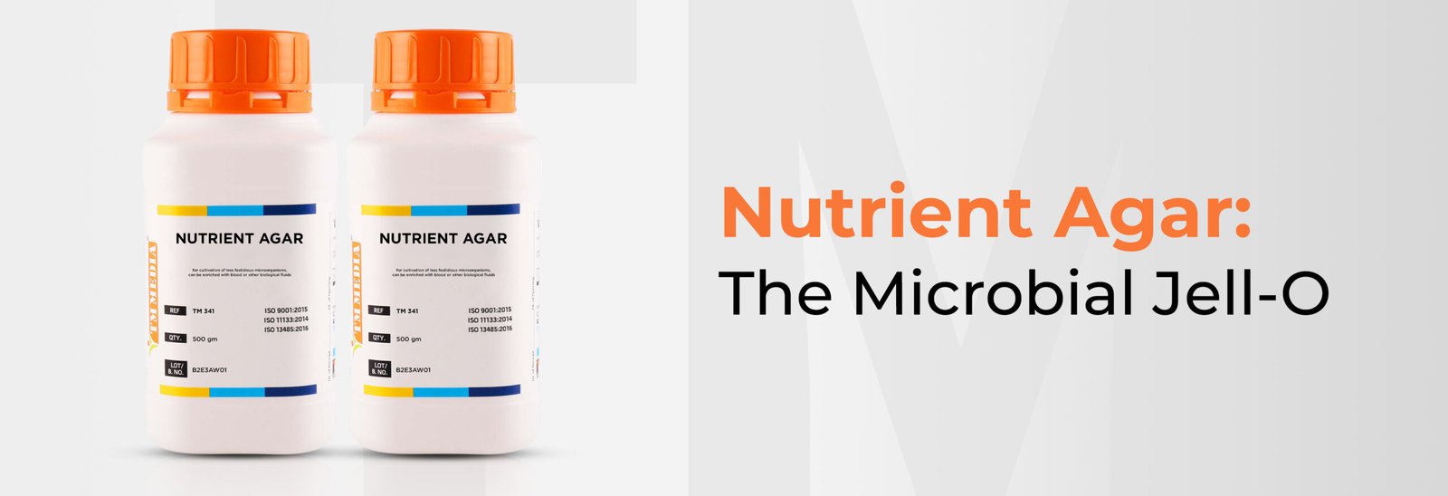 nutrient agar