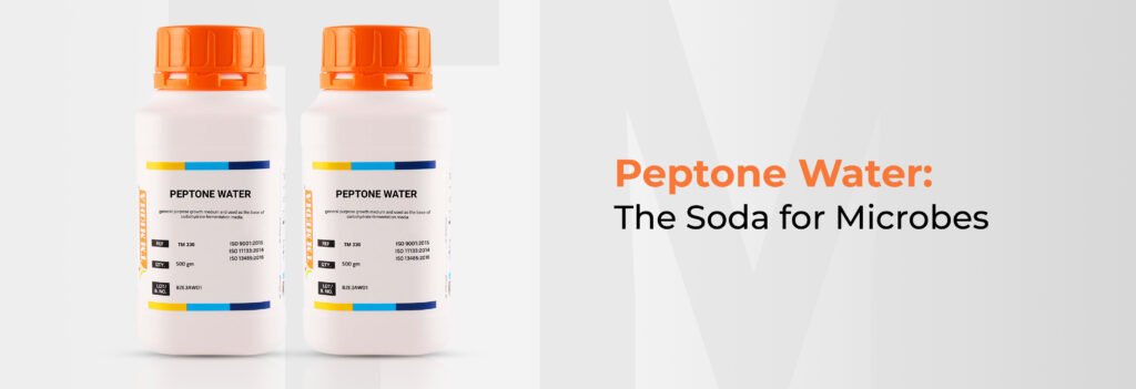 peptone water