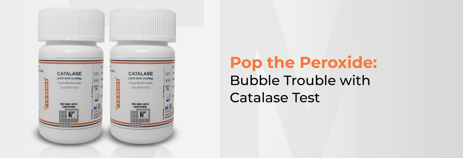 catalase test