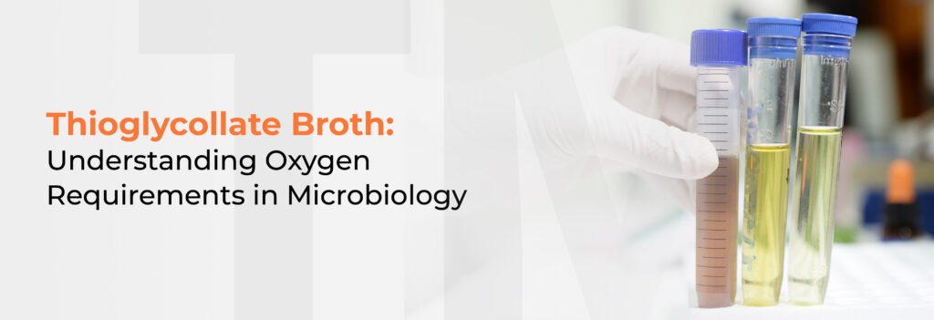 thioglycollate broth
