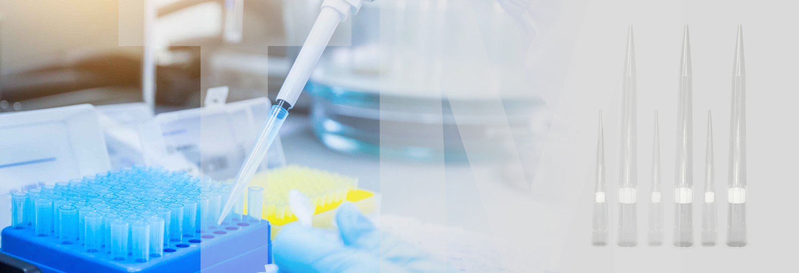 micropipette tips