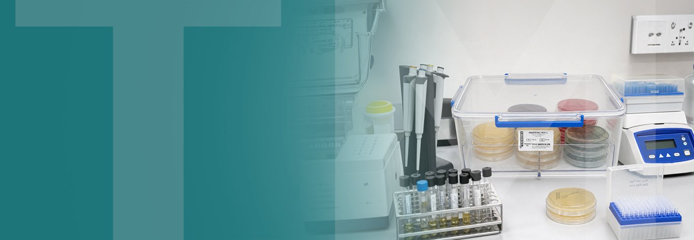 Anaerobic Box