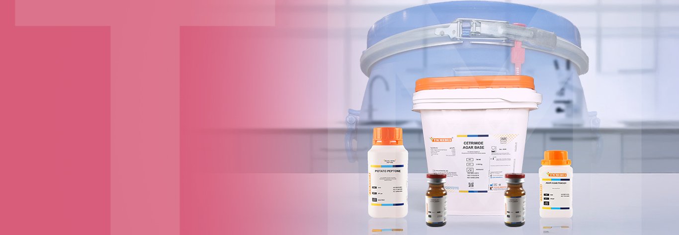 Culture Media & Supplements