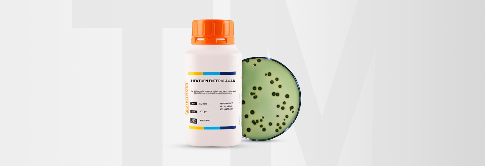 hektoen enteric agar