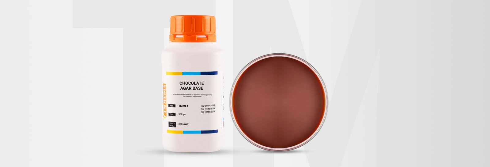chocolate agar